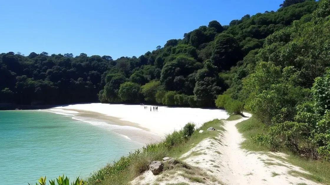 dicas para aproveitar as praias isoladas dicas para aproveitar as praias isoladas