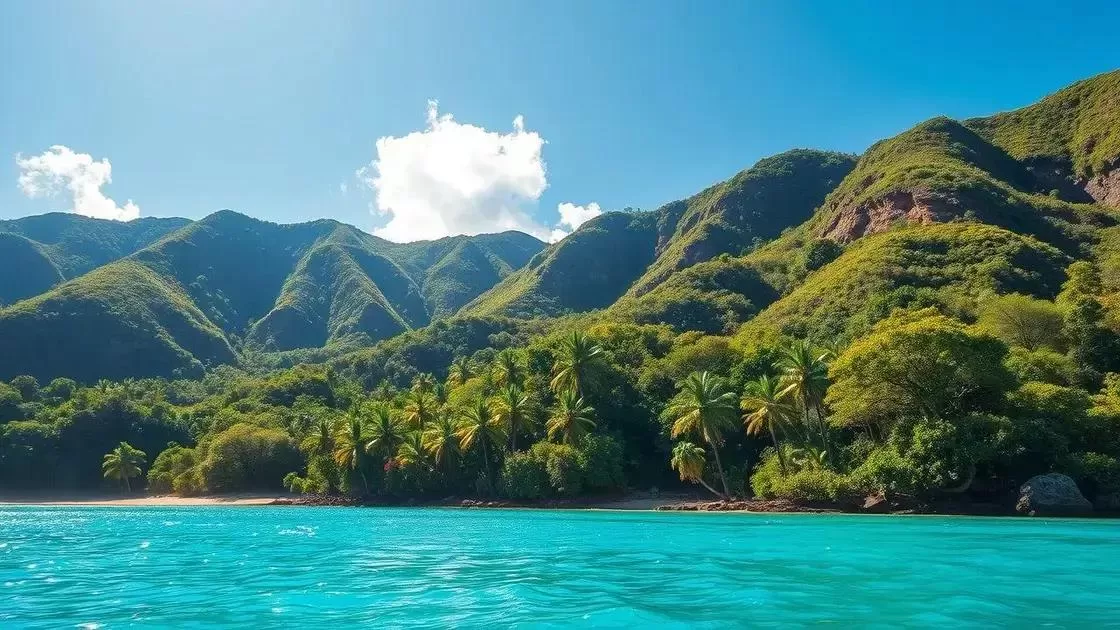 Entenda o clima de Madagascar ao longo do ano Entenda o clima de Madagascar ao longo do ano