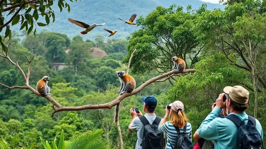 Melhores meses para observar a vida selvagem