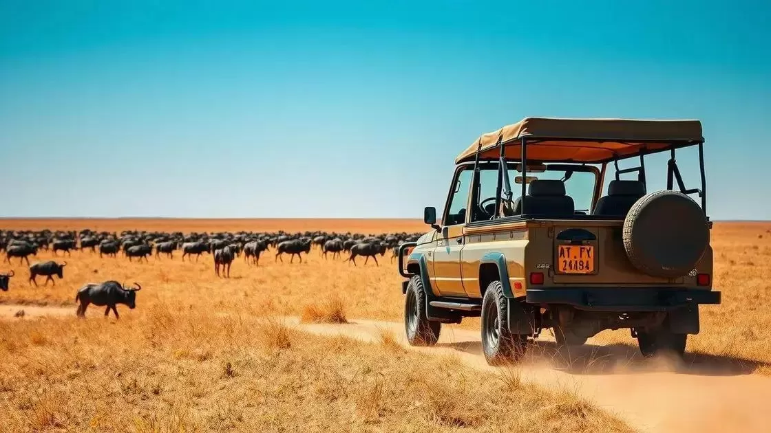 melhores meses para safáris