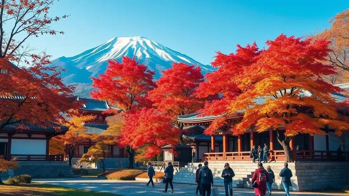 outono e as incríveis cores das folhas