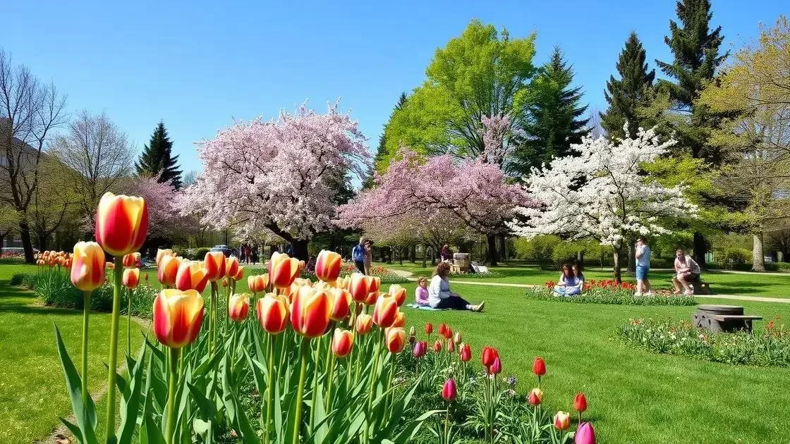 Primavera: flores e temperaturas amenas