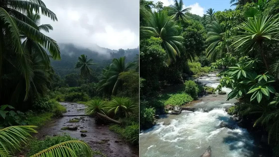 quando evitar as chuvas intensas