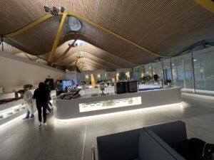 sala vip neptuno buffet