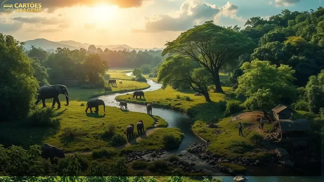 beleza natural e parques nacionais imperdíveis