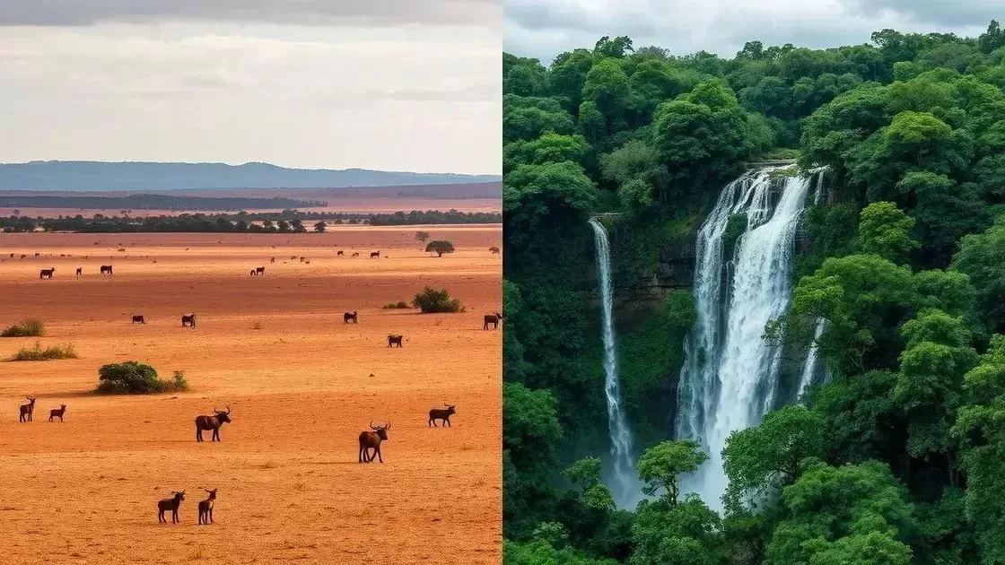 Clima e estações na Zâmbia: o que esperar Clima e estações na Zâmbia: o que esperar