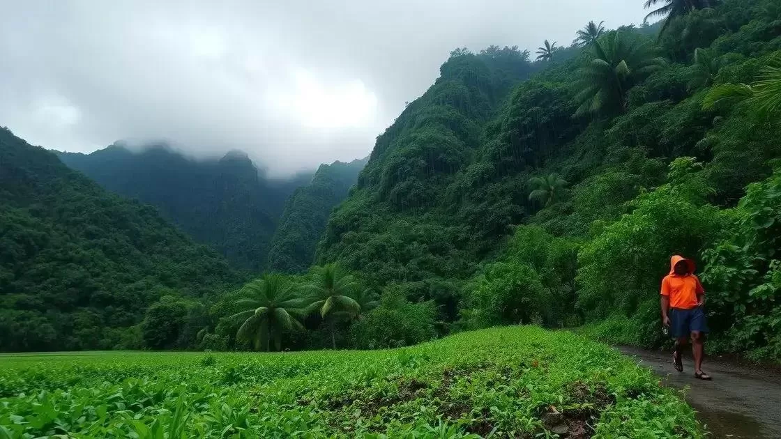 Como a estação das chuvas influencia sua viagem