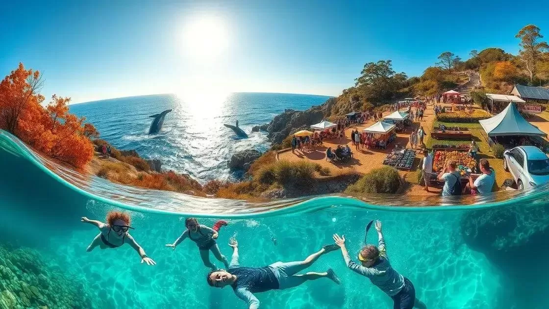 Como escolher a época certa para atividades ao ar livre e eventos locais