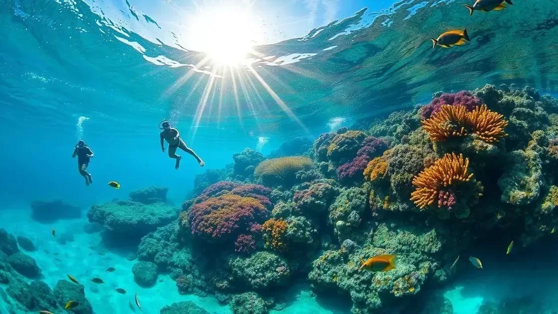 Como o clima afeta a vida marinha e os passeios