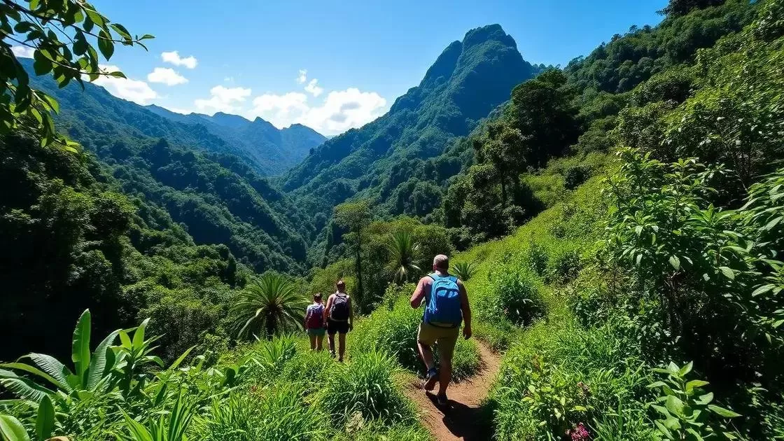 Dias ideais para trilhas e aventuras na natureza