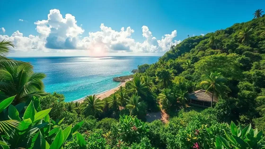 Entendendo o clima tropical das Ilhas Salomão