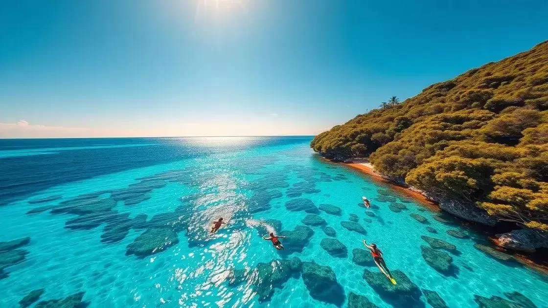 Melhor época para visitar a costa leste e a Grande Barreira de Corais