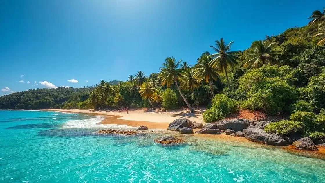 Melhores meses para aproveitar praias e trilhas