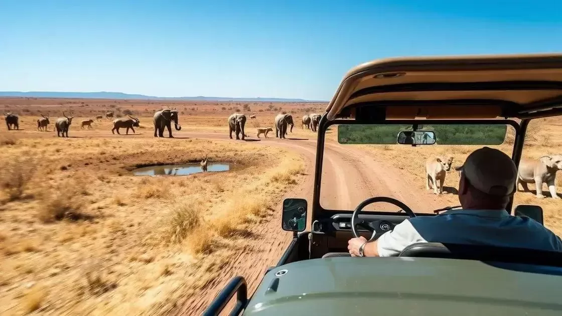 Melhores meses para safáris e vida selvagem