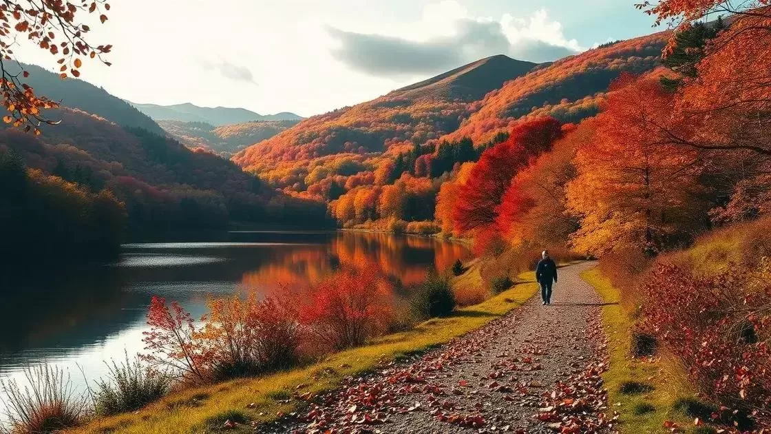 O charme das paisagens outonais e por que visitá-las O charme das paisagens outonais e por que visitá-las