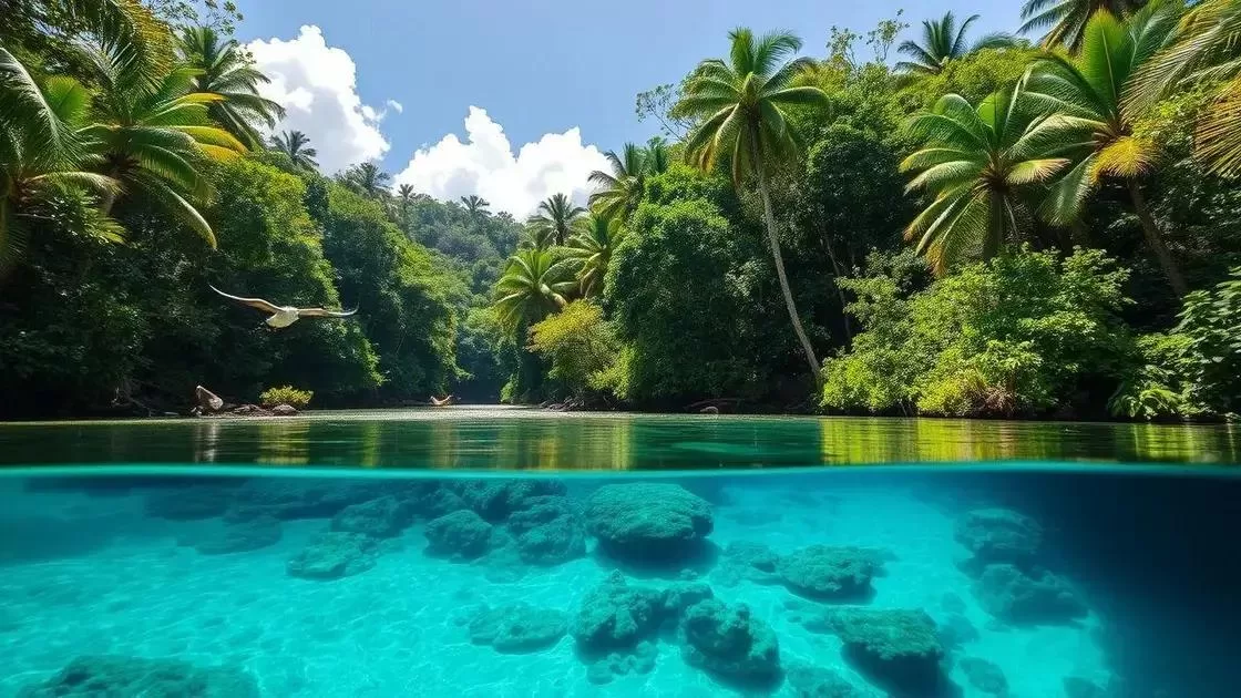 Os parques nacionais e reservas naturais imperdíveis Os parques nacionais e reservas naturais imperdíveis