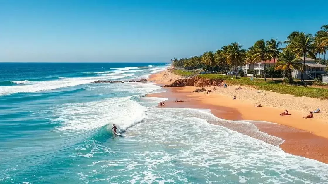 Praias paradisíacas para relaxar e surfar