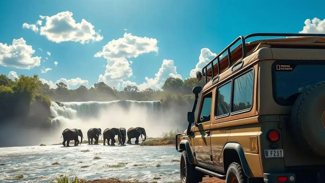 Quando visitar o Zimbábue: clima e atrações na época ideal
