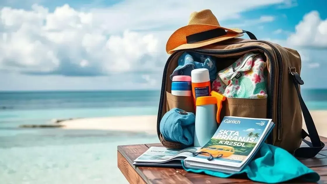 Sugestões para organizar sua viagem aproveitando o clima