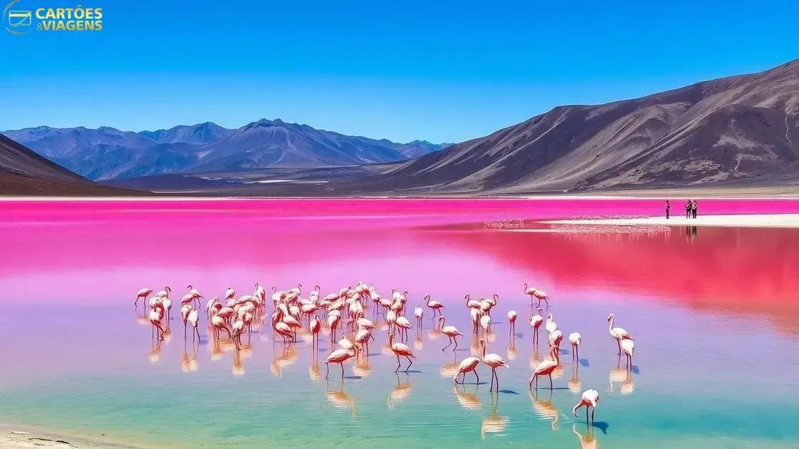 visite a lagoa colorada e sua fauna impressionante