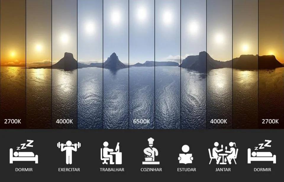 jet lag ciclo circadiano