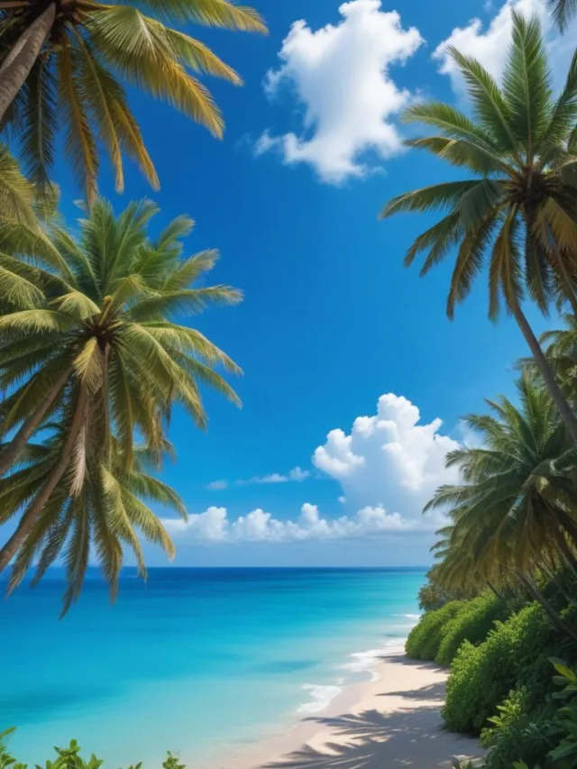 Inacreditável! Ganhe 100% a mais para viajar!