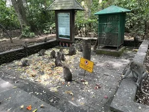 Floresta dos Macacos em Bali