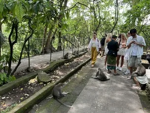Floresta dos Macacos em Bali