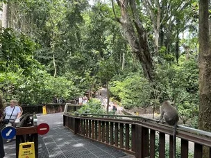 Floresta dos Macacos em Bali