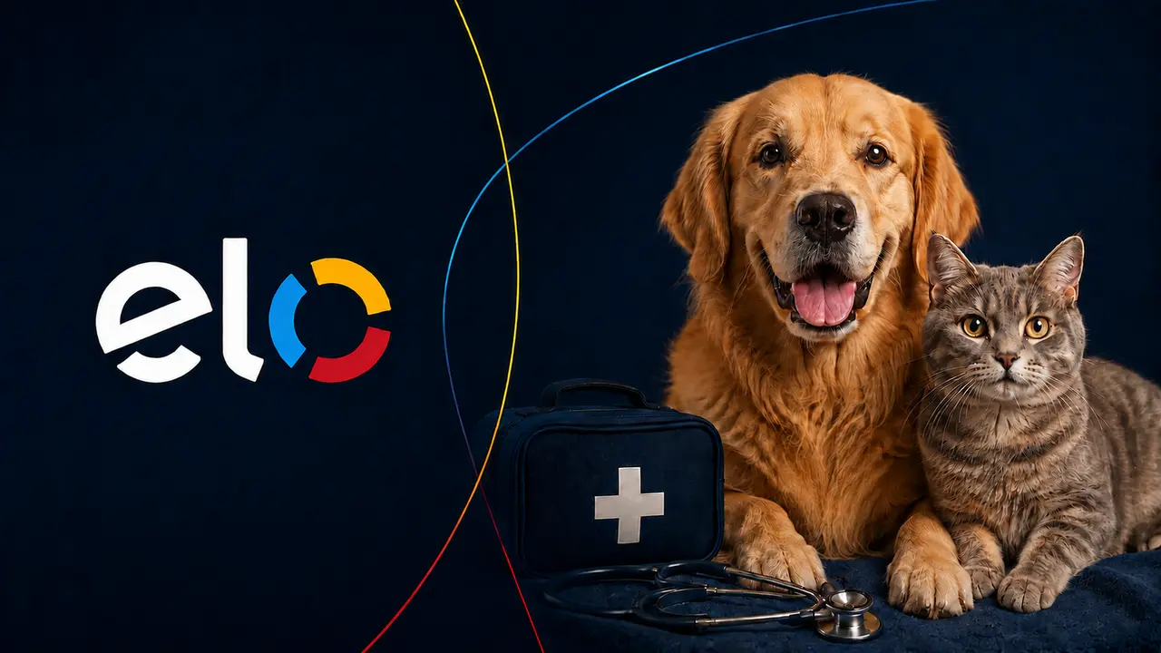 Assistência Pet Elo com cão, gato e kit veterinário